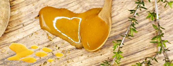 Le miel de Manuka est-il meilleur que le miel normal ? Un guide complet