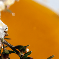 Was ist Manuka Honig