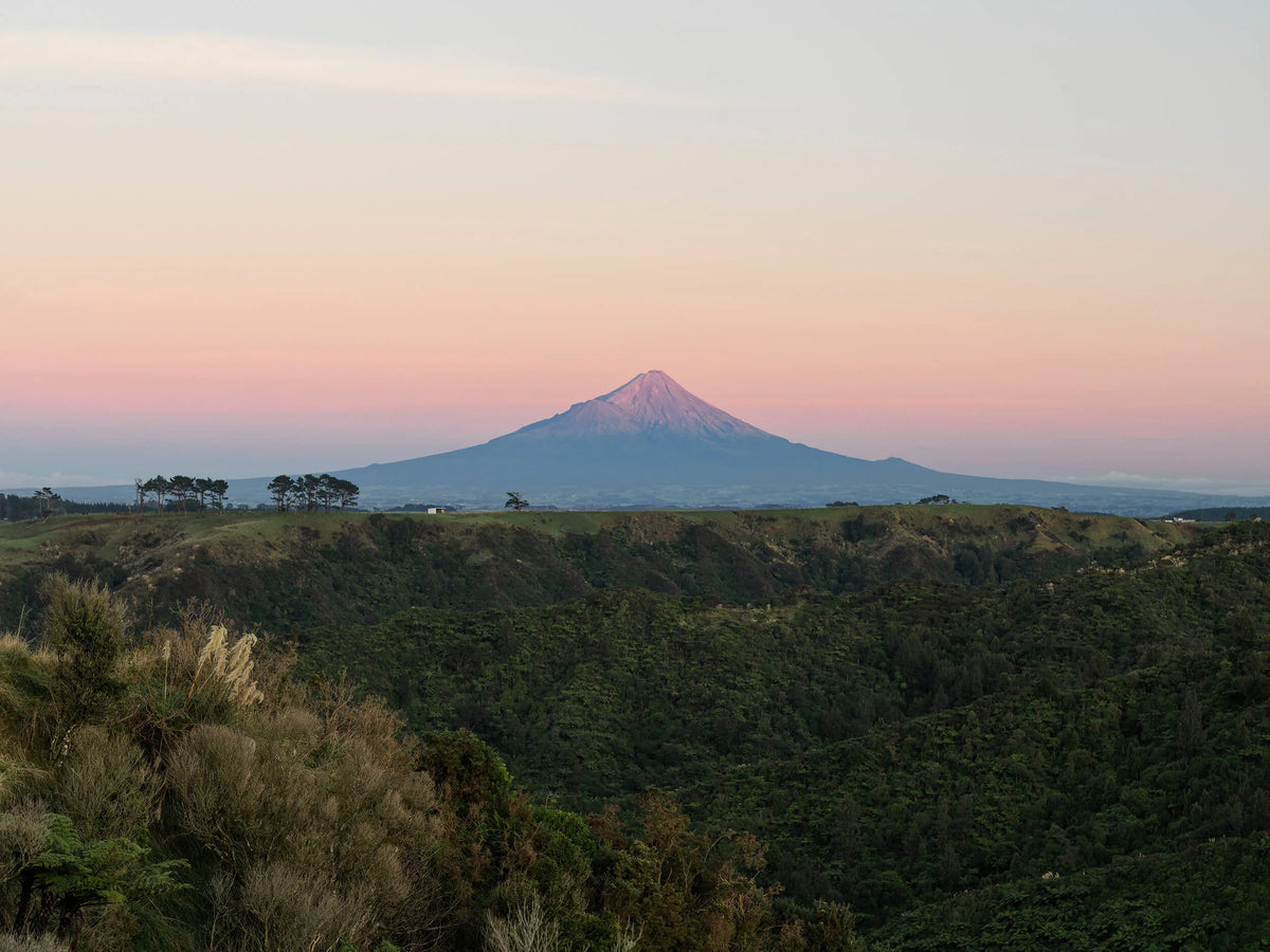 Egmont Honey Bienenstände in der Nähe von Mount Taranaki